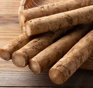 Burdock Root